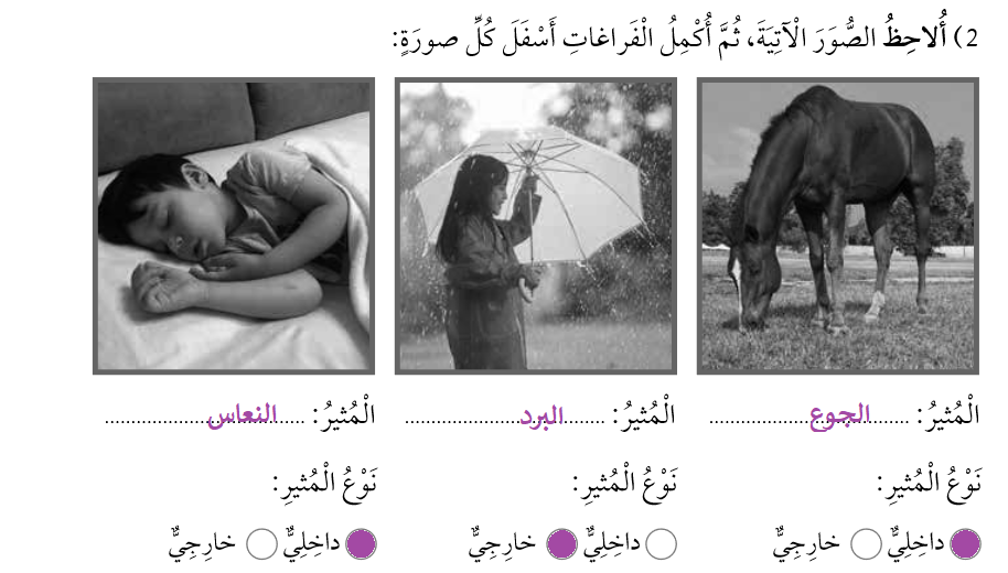 المثير والاستجابة المثير والاستجابة